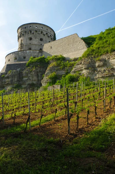 WURZBURG, GERMANY - MAY 11, 2015: A view of the Marienberg Fortress or Festung in Autumn with vineyard in front