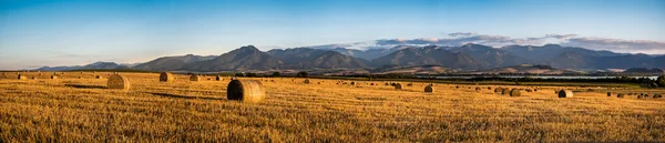 Harvested Field with Hay Bales Under Mountains