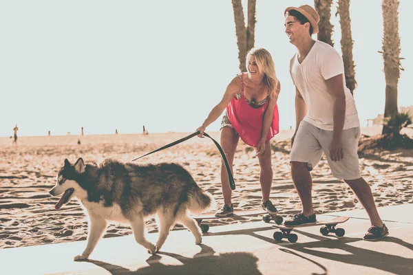 Couple having fun with husky