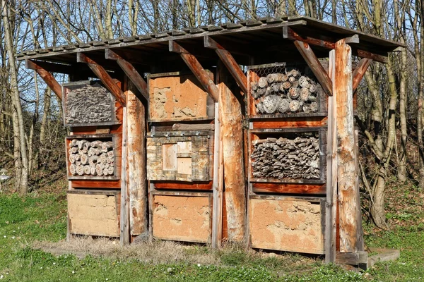 Insect Hotel in a field