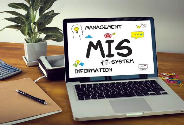 MIS  Management Information System  Data Development Information