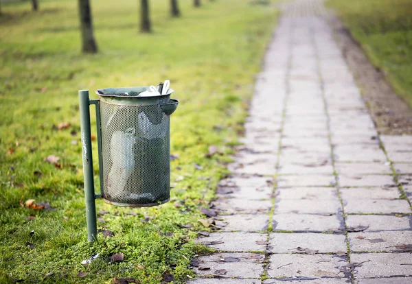 Trash can and pathway