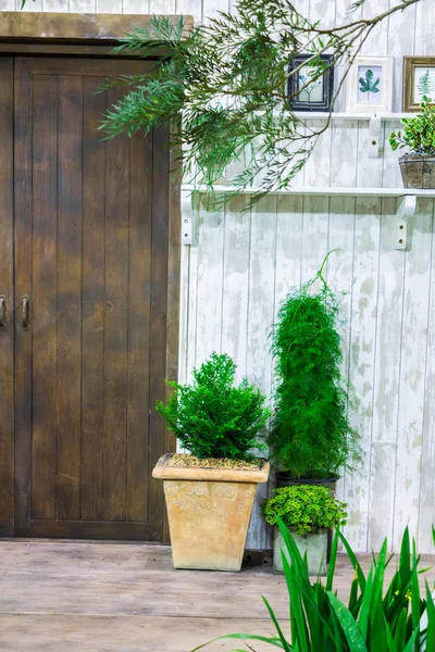 Potted plants in front of cozy home.