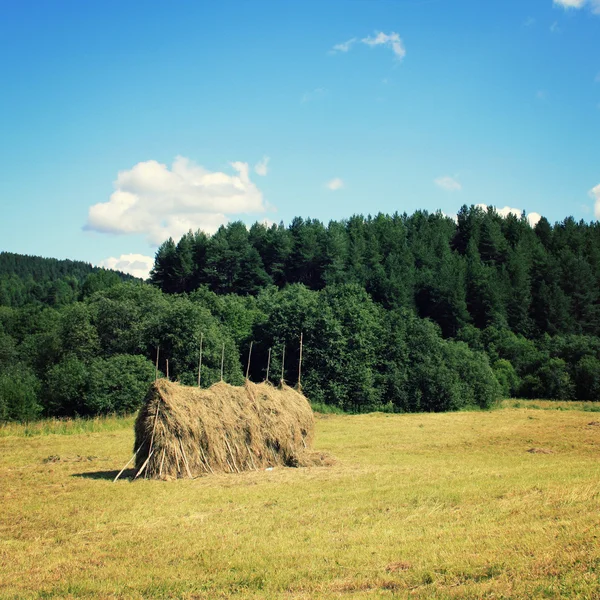 A stack of hay on the field. Countryside. Russia.