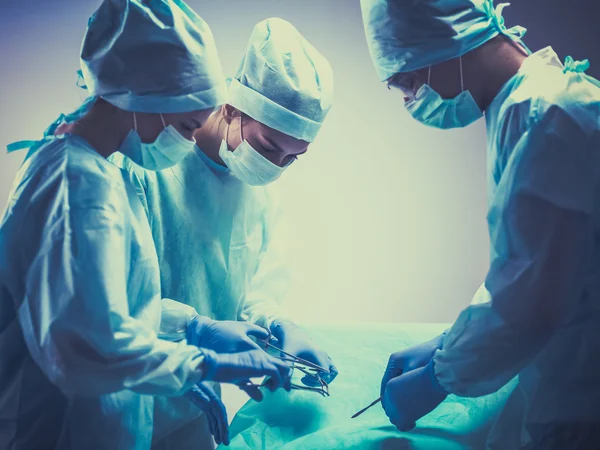 Team surgeon at work in operating room