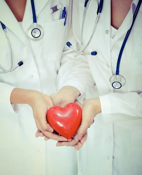 Two woman doctor holding a red heart, isolated on white background