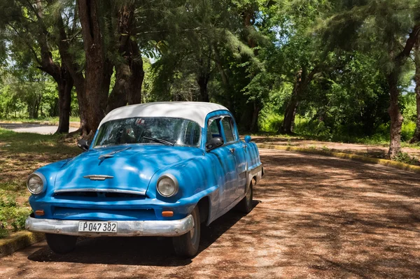 Santa Clara , Cuba - September 04, 2016: Blue american Plymouth classic car with white roof parked under trees in Cuba - Serie Cuba 2016 Reportage