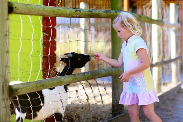 Funny little girl feeding farm animals