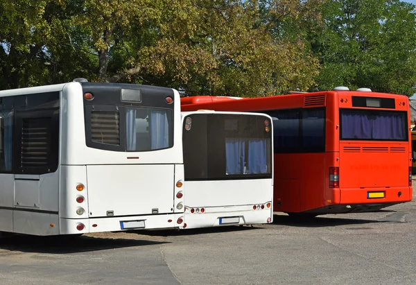 Buses at the bus terminal