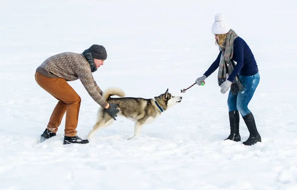 Woman and man play with dog in snow