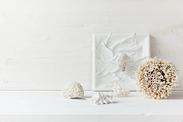 Soft home decor;  shells and corals on white wooden background.