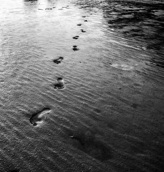 Footprints in the sand in north-west France monochrome