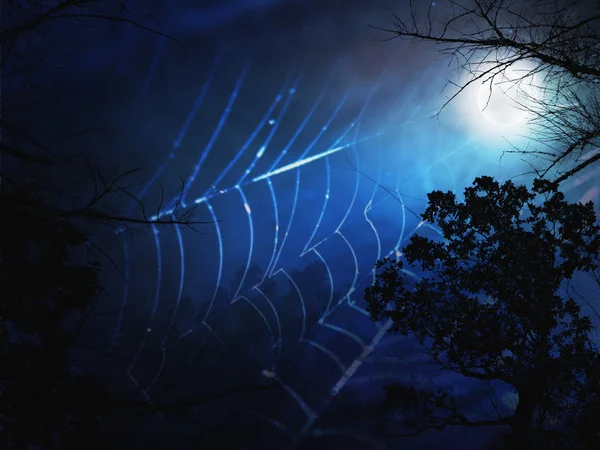 Spider web and dark forest with frog