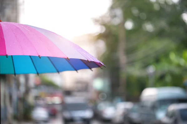 Colorful pink and blue Umbrella