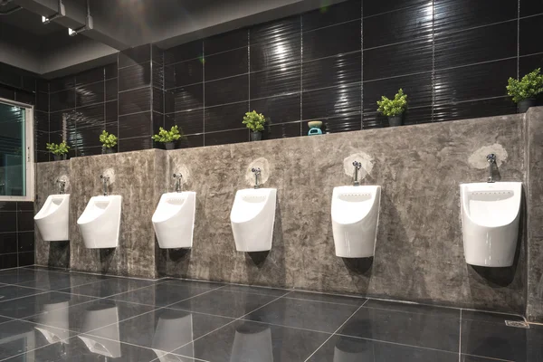 Luxury public bathroom