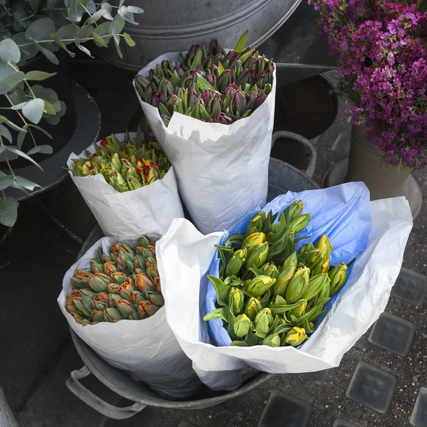 Unblown tulips in paper bags for sale in aluminum buckets next to the flower shop