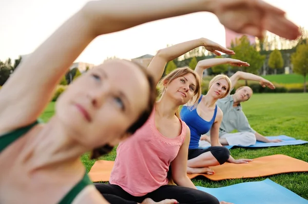 Yoga group on the background of green grass
