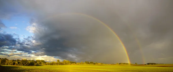 Colorful rainbow after the storm passing over a field