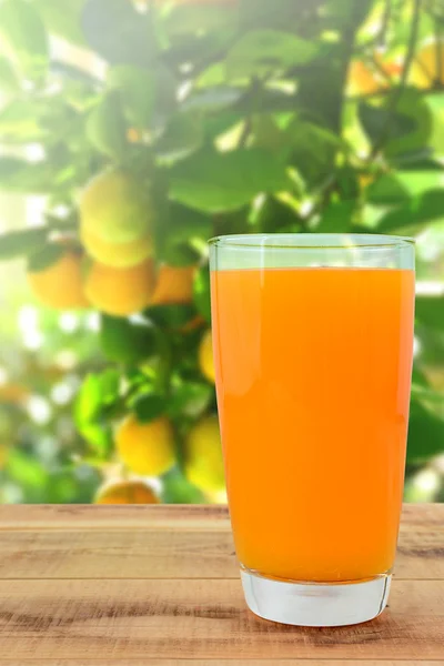 Fresh orange juice on wooden table and orange garden.
