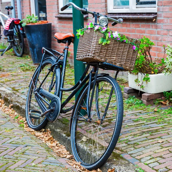Decorated bicycle in a Dutch town