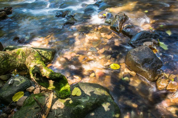 Background Picture of water flows through rocky path of a stream