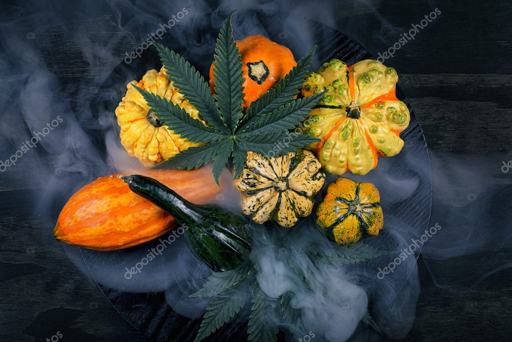 depositphotos_126094572-stock-photo-harvest-fall-background-with-gourds.jpg