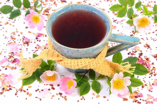 Cup of tea with wild rose flower on white background