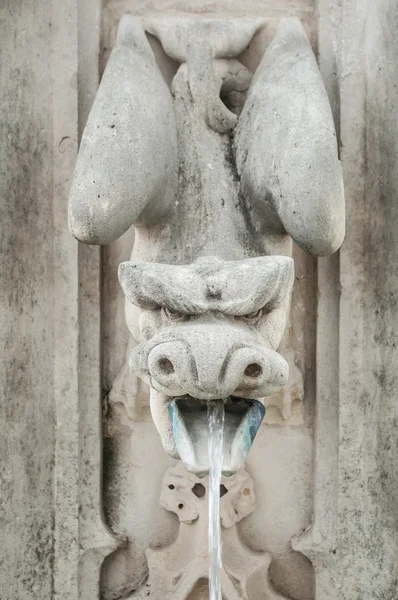 Gargoyle  in a fountain spitting water by mouth