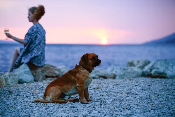 Dog and woman on beach