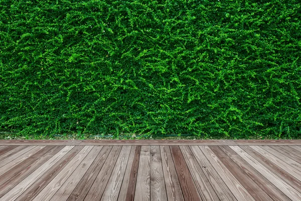 Wood floor with green leaves wall background