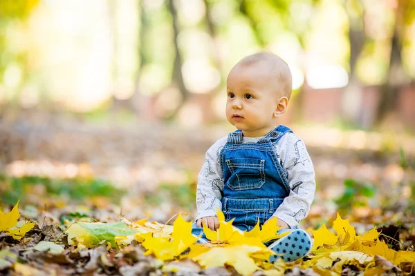 Toddler sitting in the park in autumn leaves