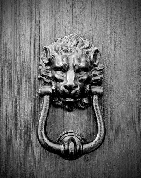 Lion head door knocker, black and white