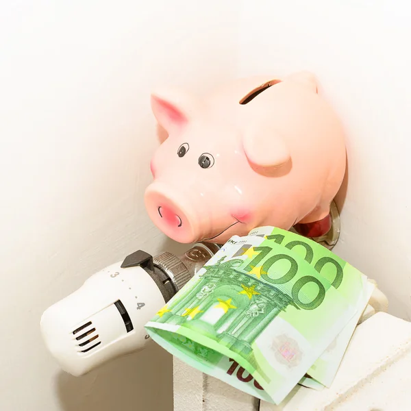 Concept Piggy, the valve on the radiator for saving energy and m
