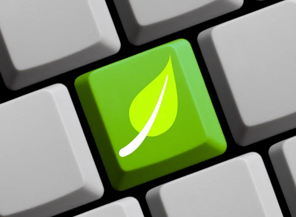 Leaf symbol on computer keyboard