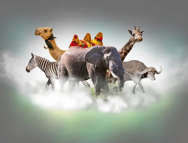 Wild animals group - giraffe, elephant, zebra above white clouds in gray sky