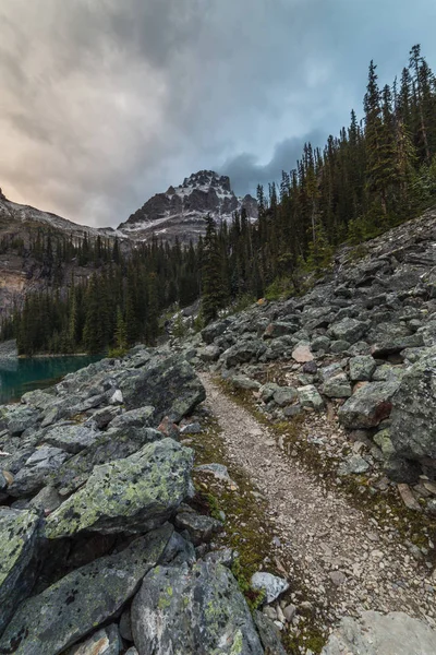 Hiking trail with mountain background in Yoho National Park, British Columbia, Canada