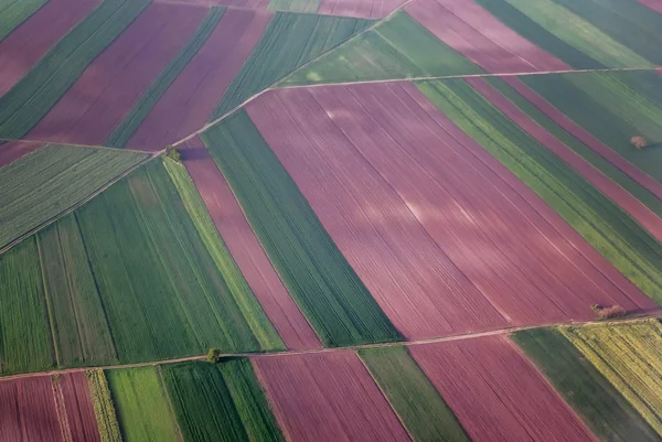 Colorful lavander fields viewed from the airplane