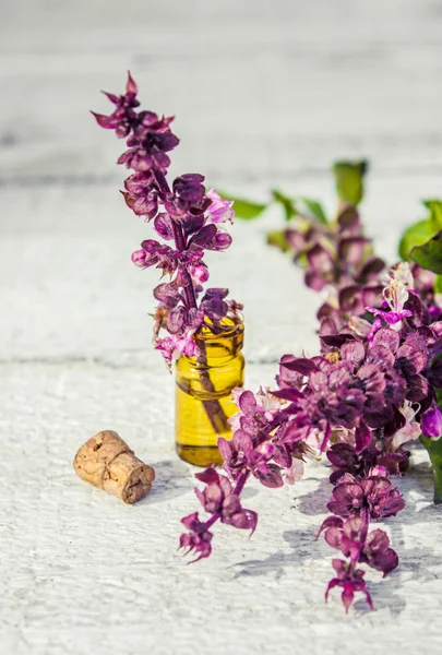 Drugs herbs extract Basil in a small bottle