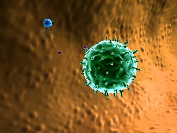 Phagocyte kills viruses