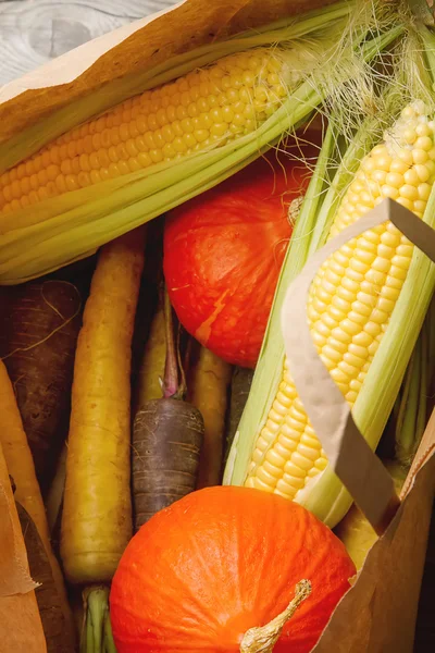 Ripe yellow corn and a pumpkin colored carrots in a paper bag. A
