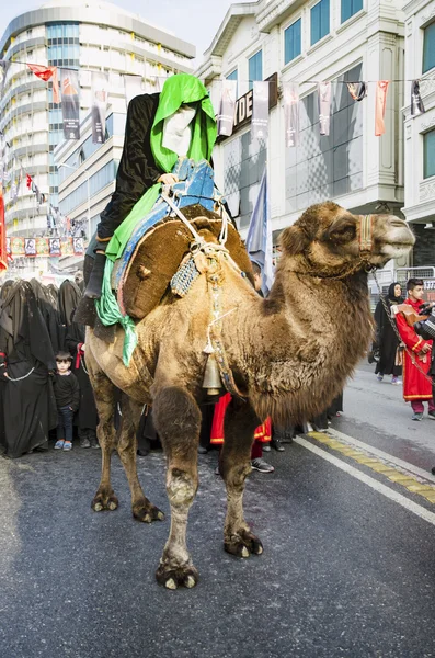 Representation on the camels to revive Karbala