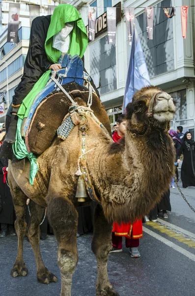 Representation on the camels to revive Karbala