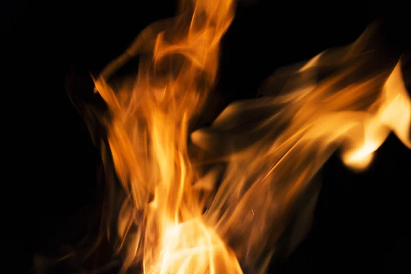 Fire flames on a black background. Blaze fire flame texture back