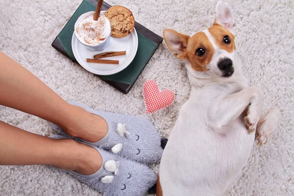 Woman wearing cozy warm wool socks relaxing at home, playing with dog, jack Russel terrier, drinking cacao, winter morning concept, top view. Soft, comfy lifestyle.