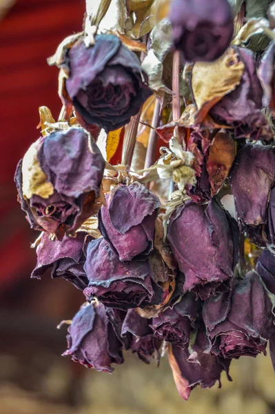 Dried rose flowers