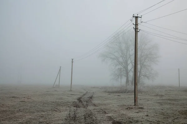 Foggy landscape with power lines rustic field background, frost on the ground, noise film effect