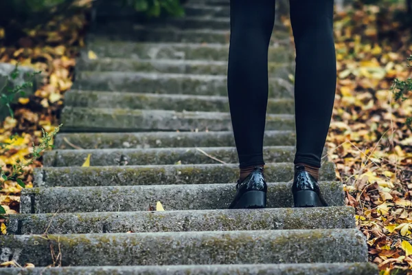 Female legs in black tights and shoes on the steps. autumn.