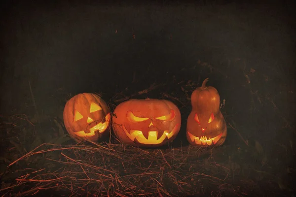 Halloween three pumpkins scary funny and creepy in the woods on
