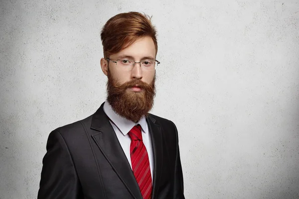 Good-looking stylish redhead entrepreneur or office worker with thick beard and rectangle glasses posing isolated against gray wall background with copy space for your text or promotional content