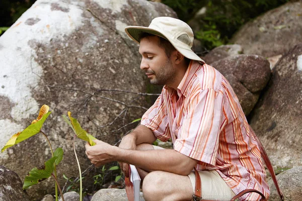 Biologist holding leaves of plant